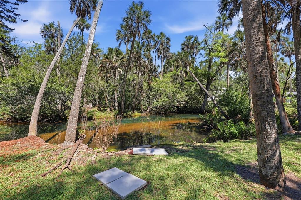 6244 Colony Circle Weeki Wachee, FL 34607 - Photo 15 of 60