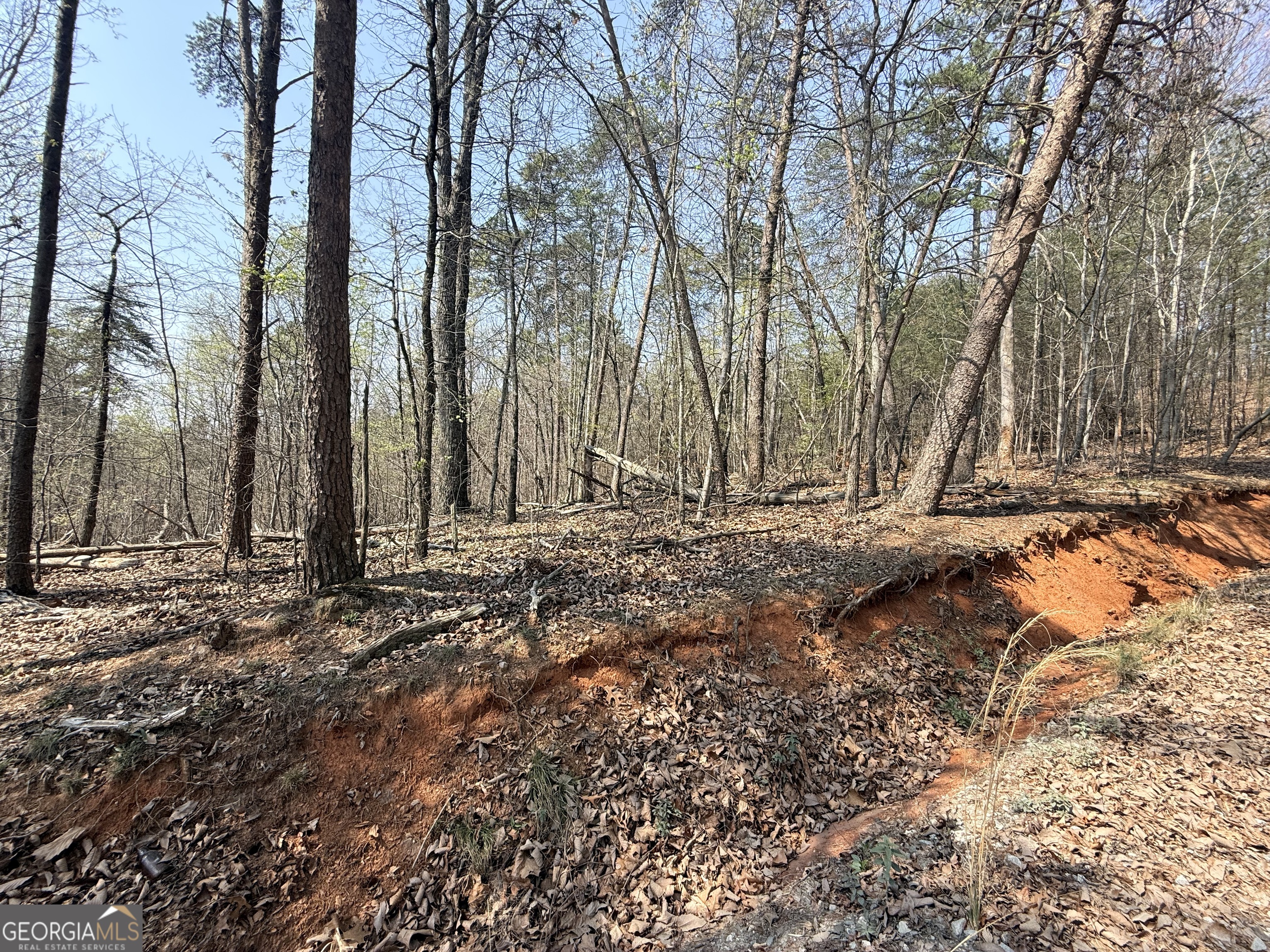 Tract A Baldwin Heights Road Baldwin, GA 30511 - Photo 1 of 4