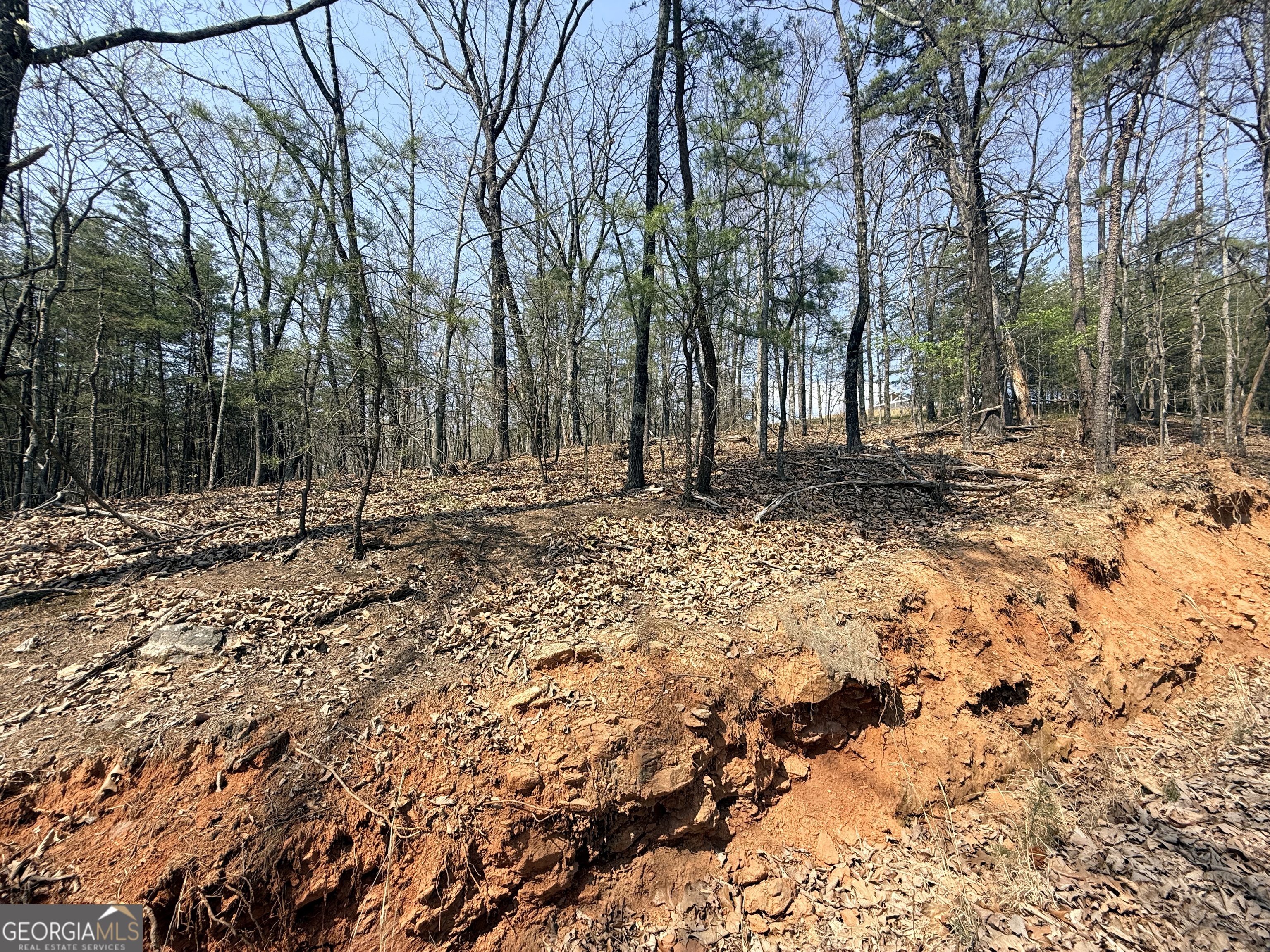 Tract A Baldwin Heights Road Baldwin, GA 30511 - Photo 2 of 4