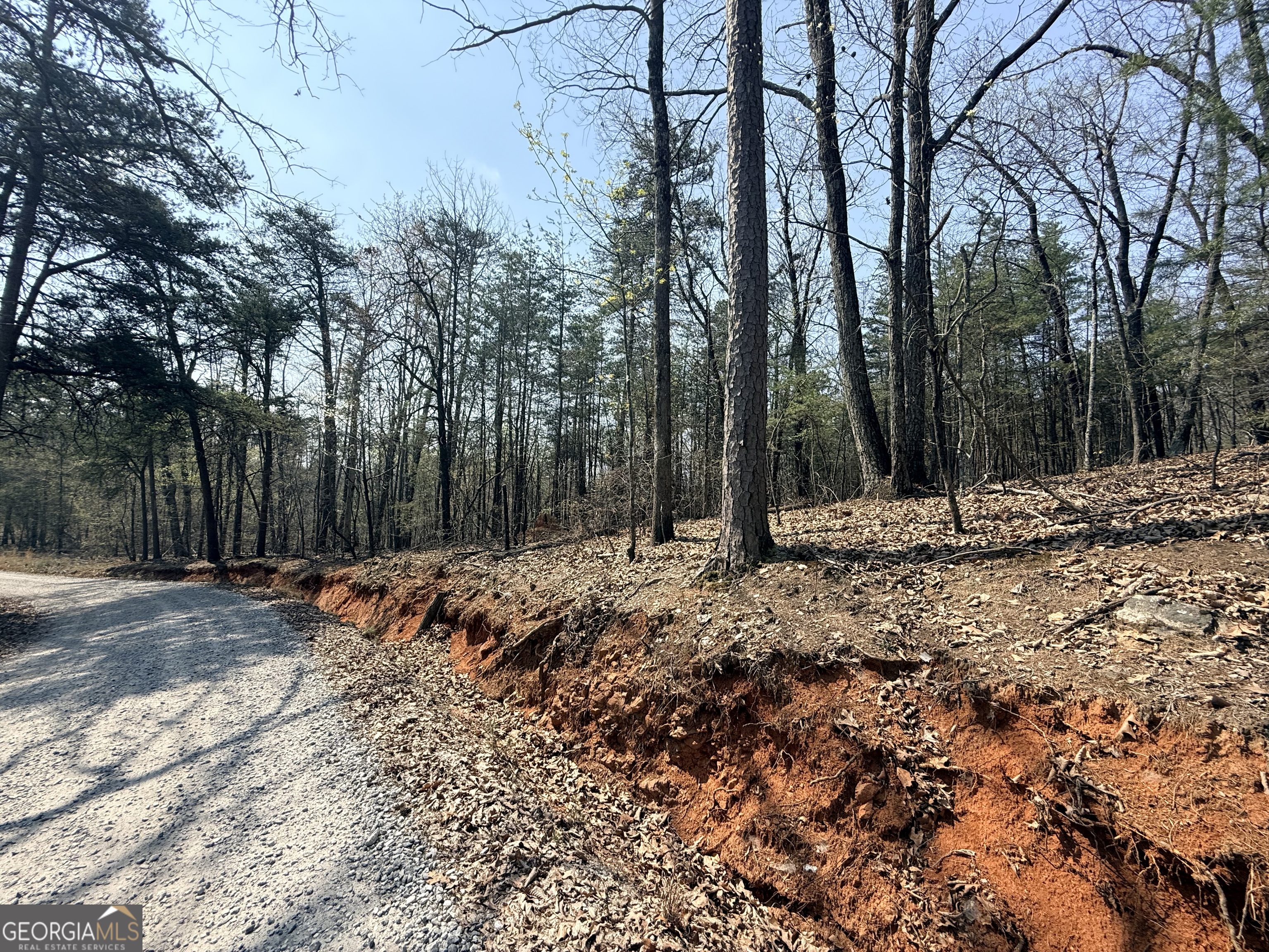 Tract A Baldwin Heights Road Baldwin, GA 30511 - Photo 3 of 4