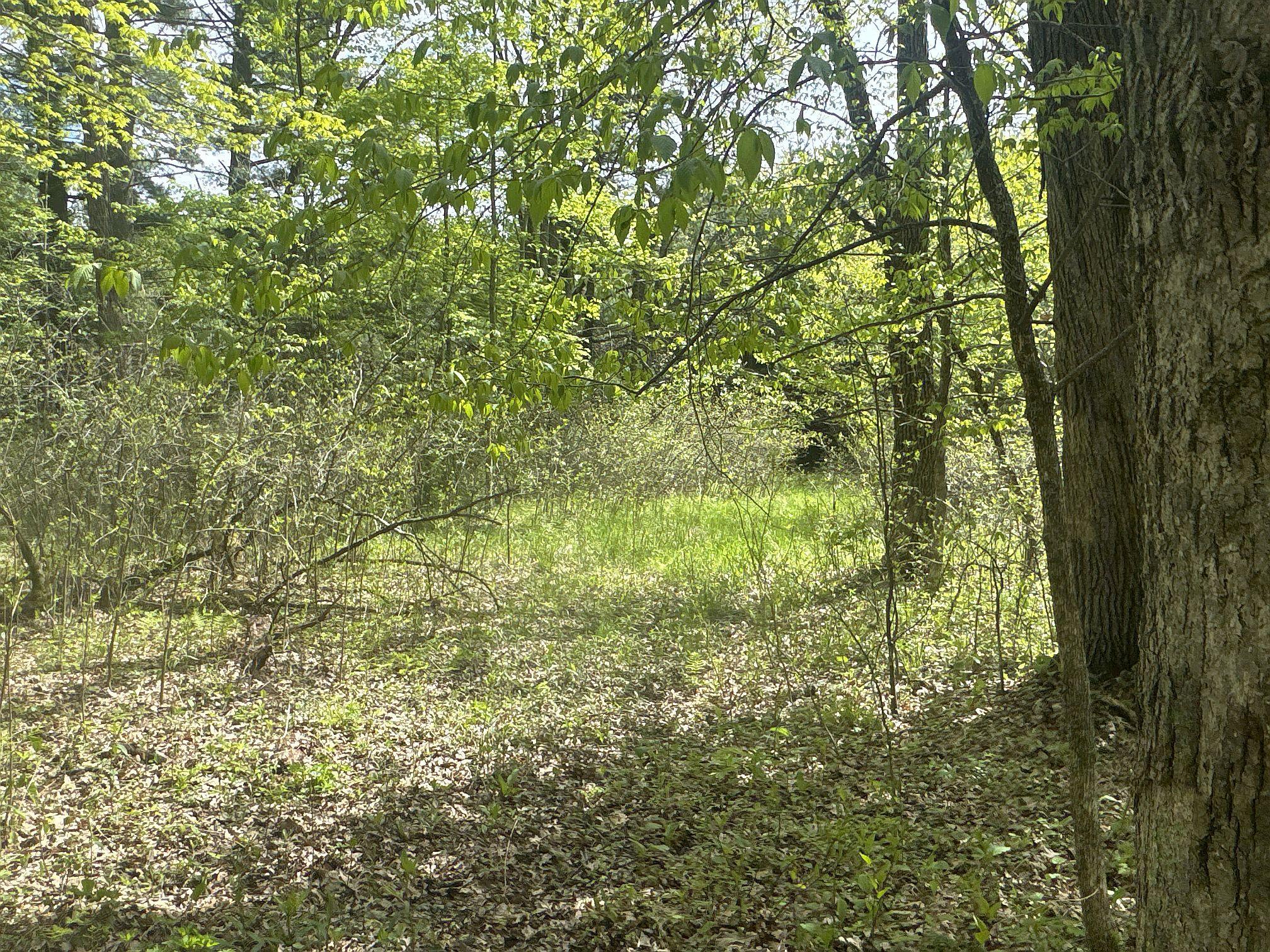 25275 Bruss Road Webster, WI 54893 - Photo 18 of 36