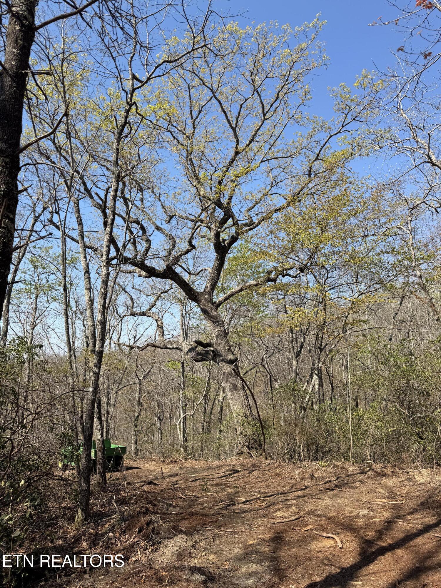 009.01 Tn 37872 Road, Unit 31 Deer Lodge, TN 37726 - Photo 15 of 19 IMG_7963