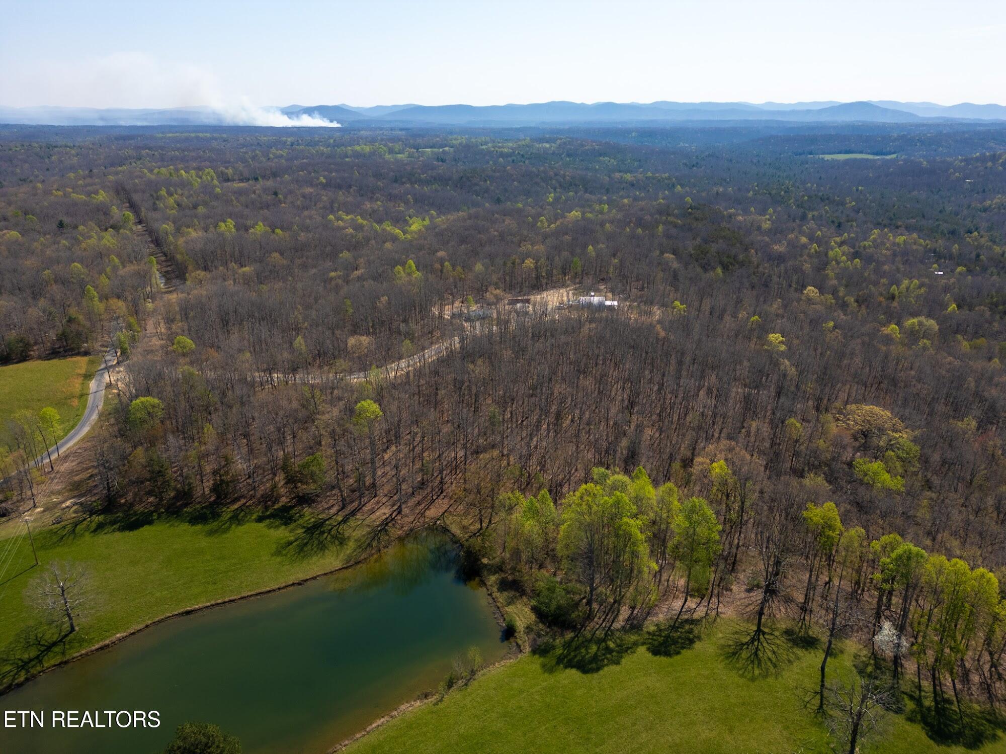 009.01 Tn 37872 Road, Unit 31 Deer Lodge, TN 37726 - Photo 10 of 19 IMG_0031