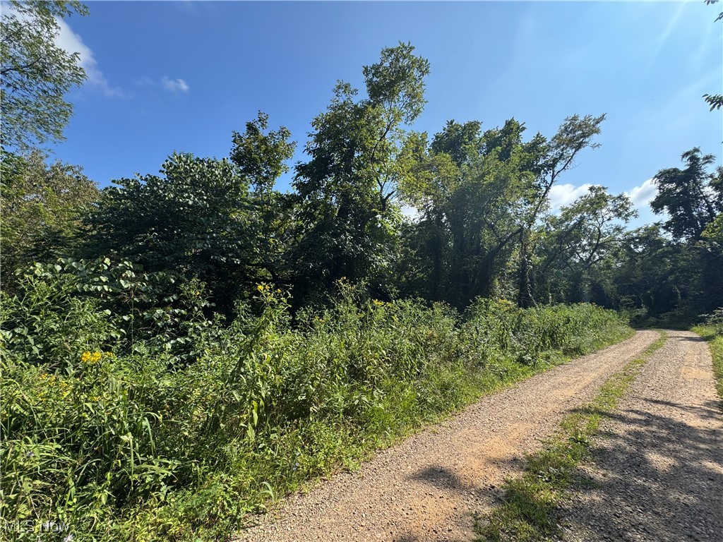 Putnam Drive Reedsville, OH 45772 - Photo 1 of 11 View of dirt / gravel road with a forest view