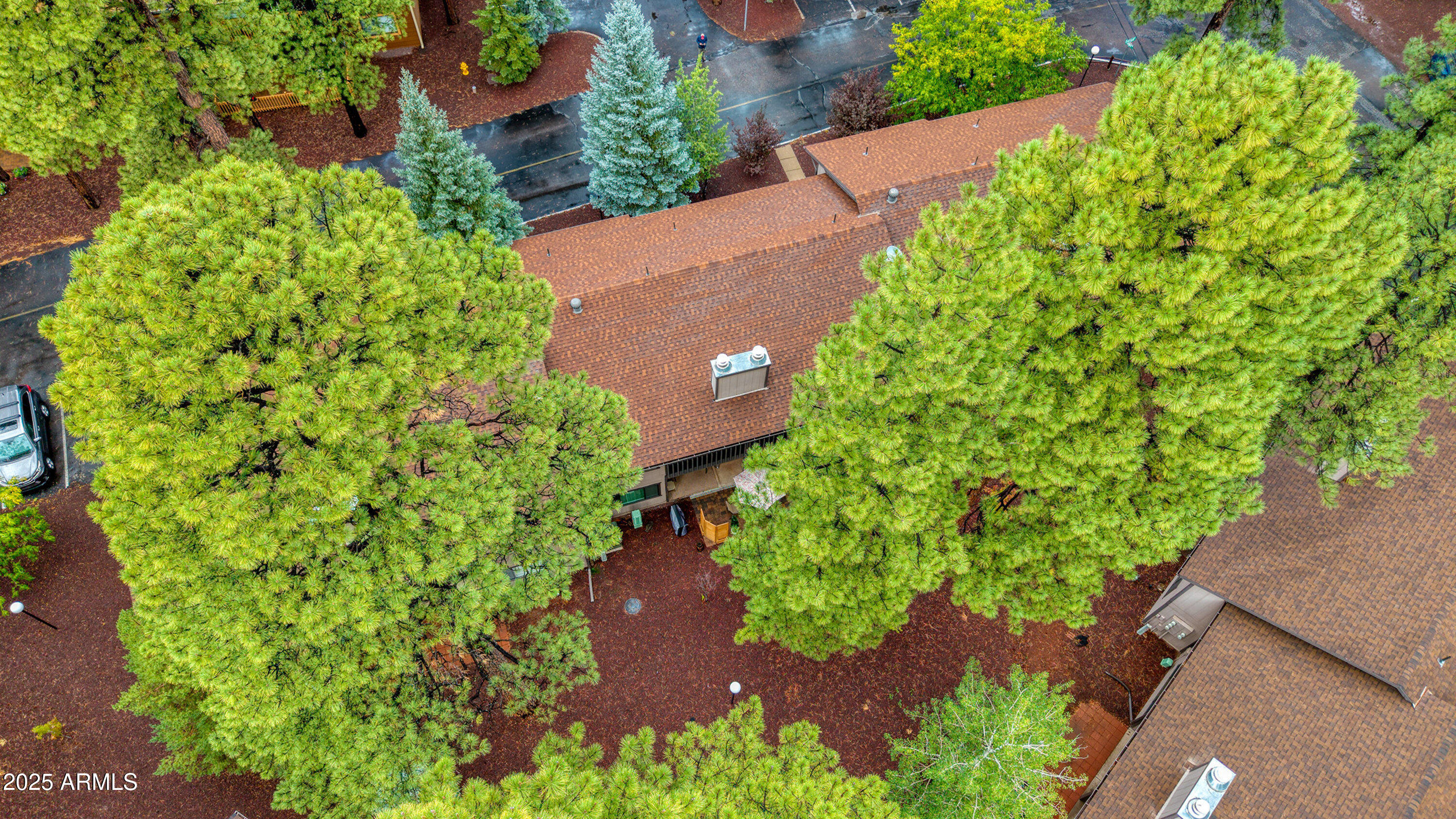 2641 Sports Village Loop, Unit 2 Pinetop, AZ 85935 - Photo 32 of 33 an aerial view of a garden with plants and large trees