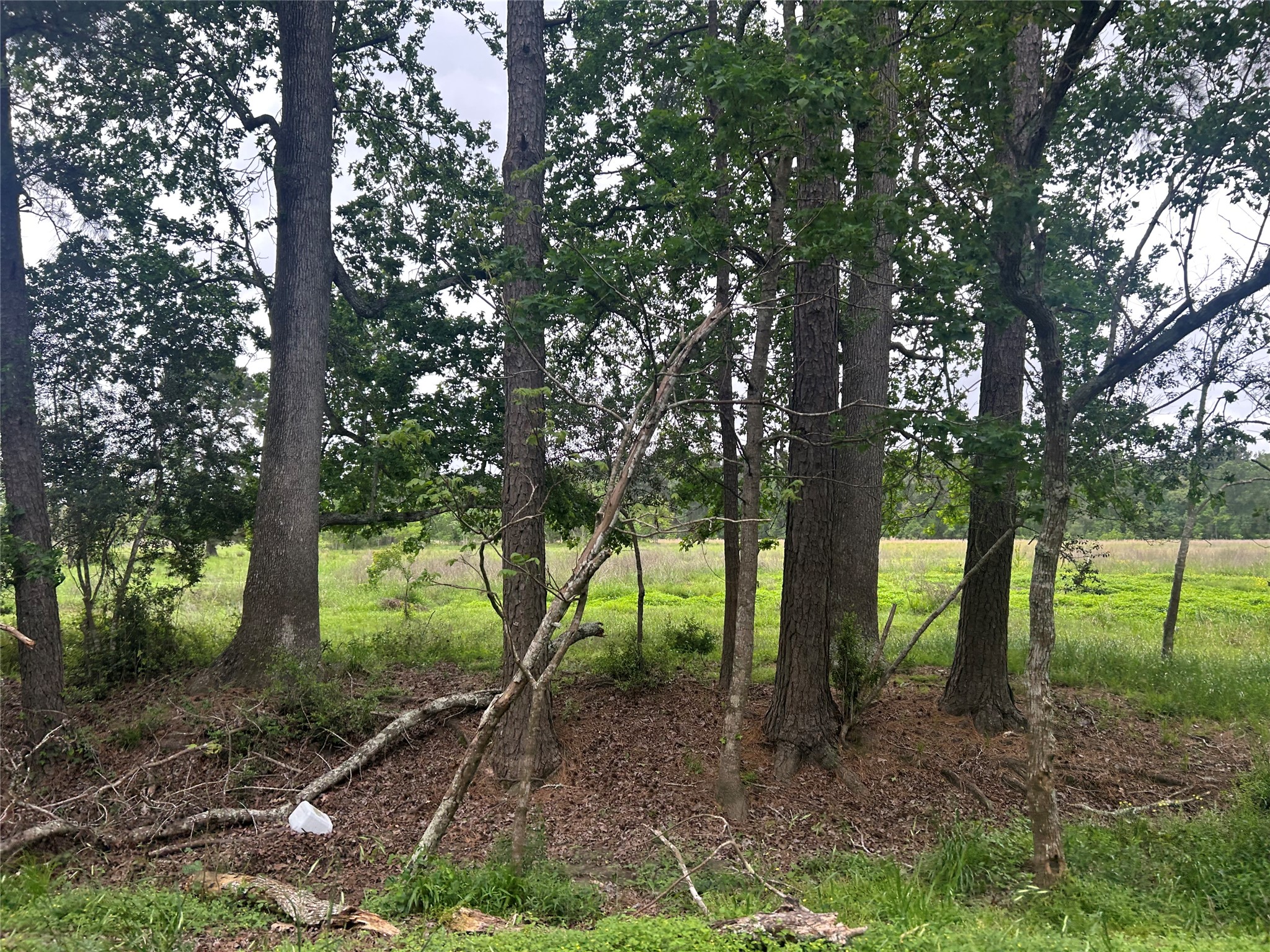 Lot 2 Minnie West Road Hull, TX 77564 - Photo 8 of 13