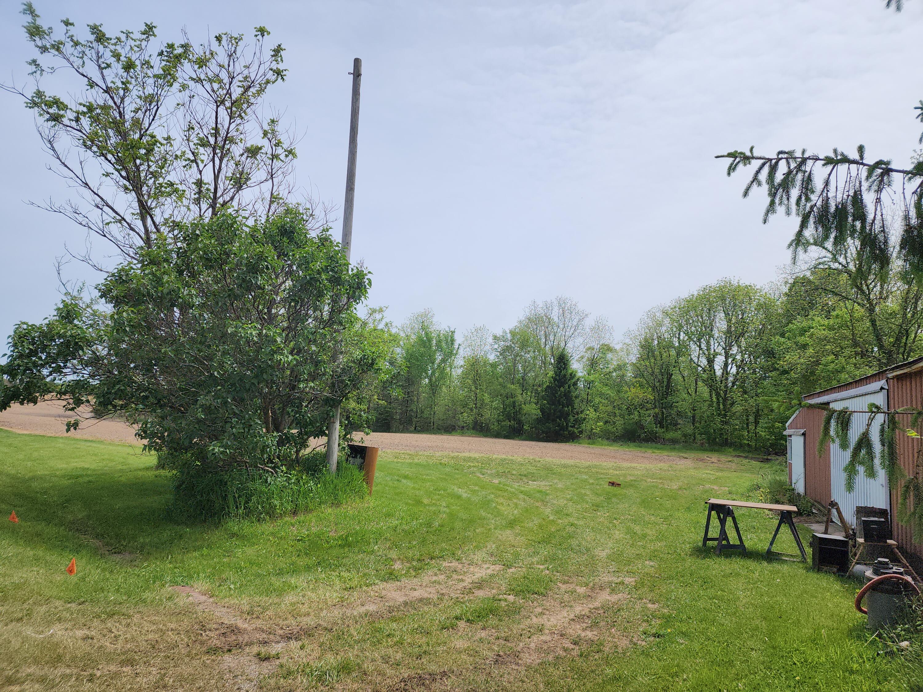 0 Arkansaw Road Allen, MI 49227 - Photo 4 of 15 driveway