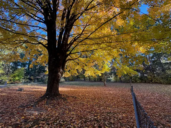 $425,000 | 30417 Highway 12, Niles, MI 49120