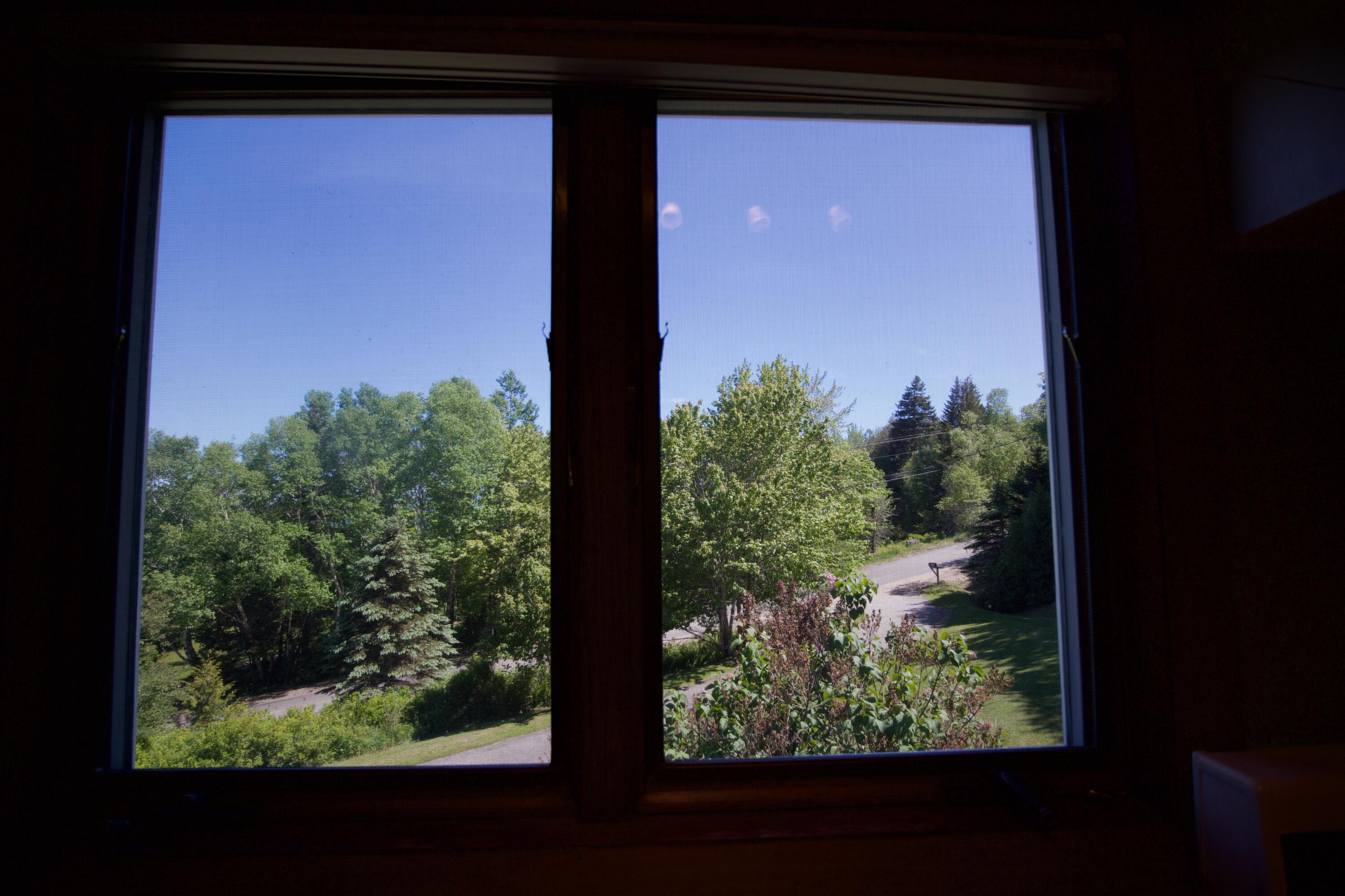 1503 Port Road Machiasport, ME 04655 - Photo 37 of 62 view from kitchen window