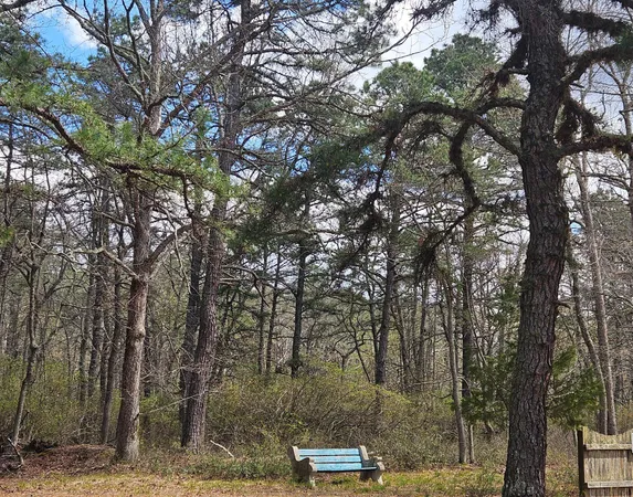 a view of a outdoor space