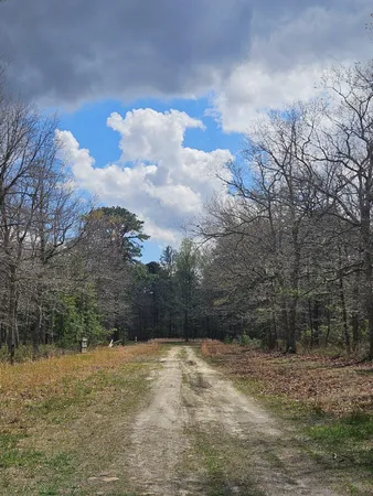 a view of a yard