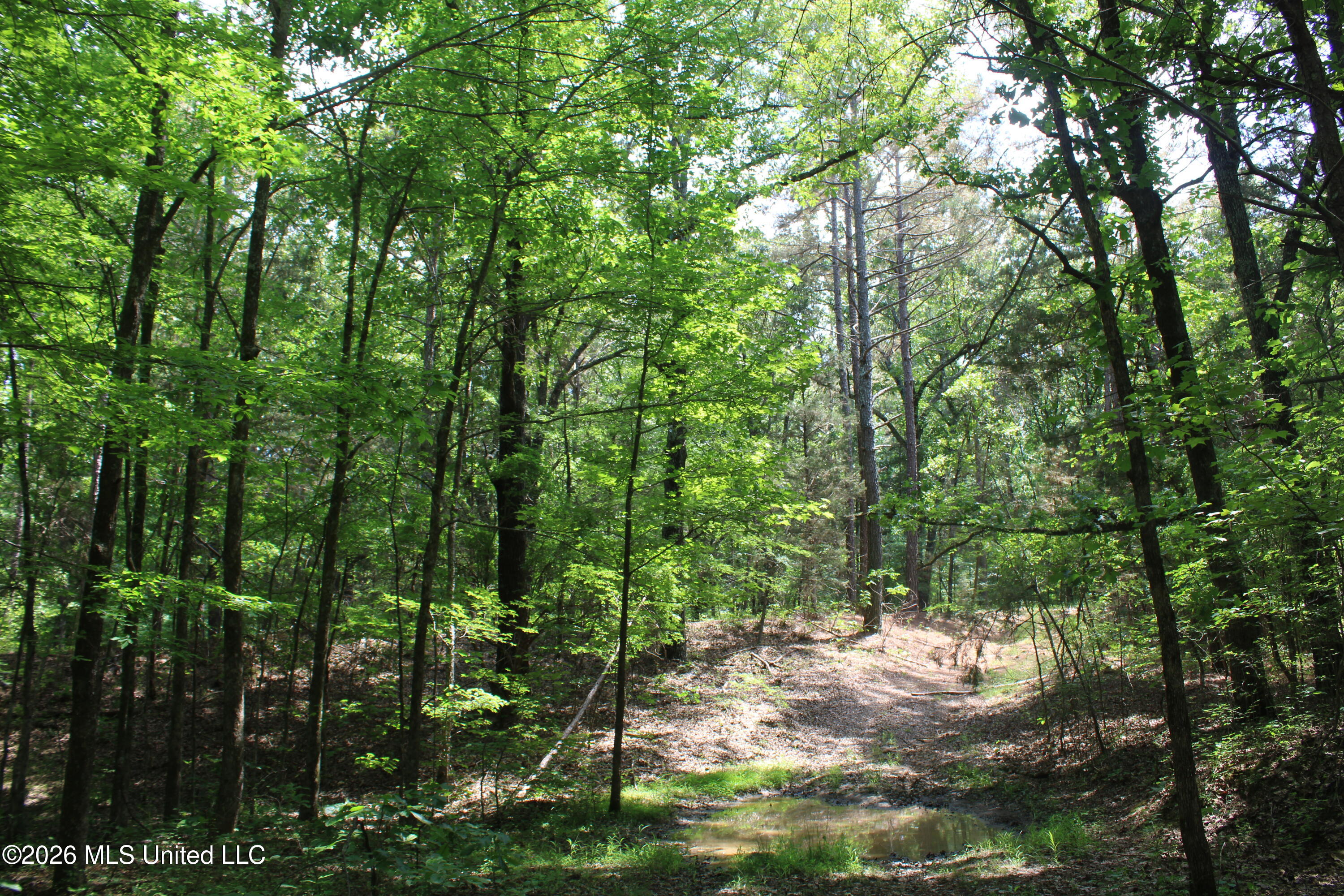 500 Boswell Road Holly Springs, MS 38635 - Photo 11 of 23 IMG_7793