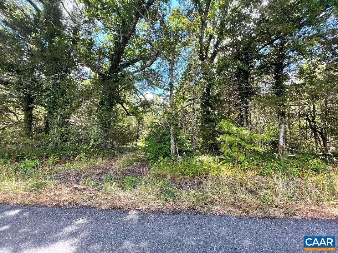 Lot B Rock Quarry Road Louisa, VA 23093 - Photo 2 of 4 Gallery Image 2
