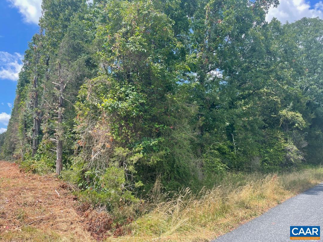 Lot B Rock Quarry Road Louisa, VA 23093 - Photo 3 of 4 Gallery Image 3