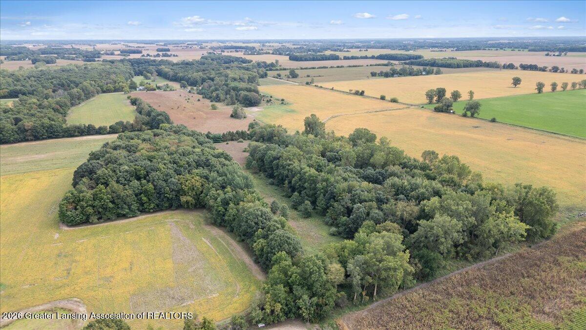 V/l V/l Vincent Road Elsie, MI 48831 - Photo 11 of 11 17-Media Jett -15