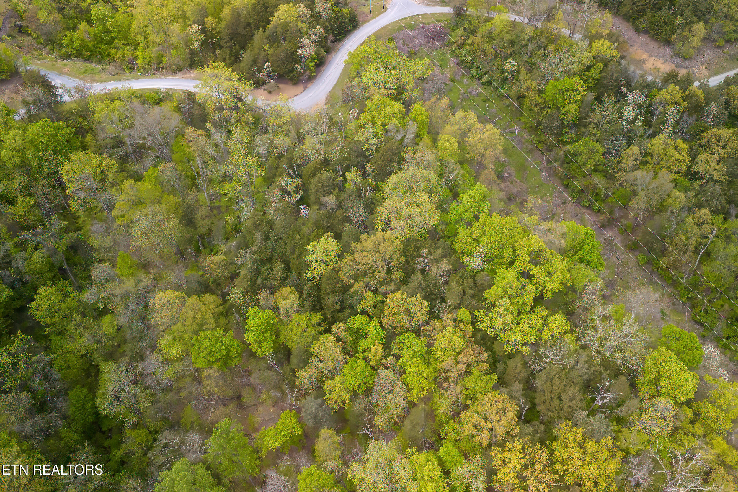 Cove Way Newport, TN 37821 - Photo 6 of 11 4_dro003