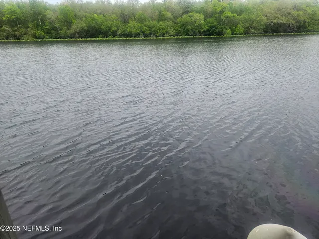 $1,150,000 | 435 Lake Asbury Drive, Green Cove Springs, FL 32043