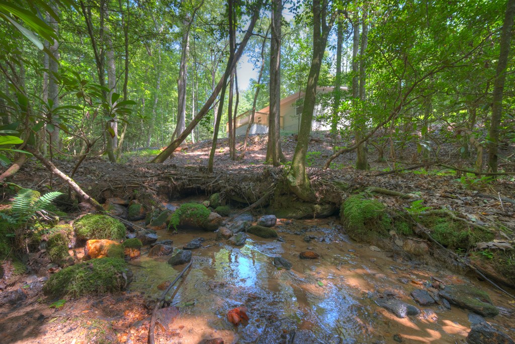 1254 Friendship Church Road Murphy, NC 28906 - Photo 31 of 47