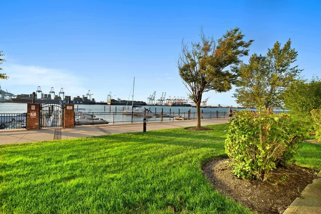 a view of a park with large trees