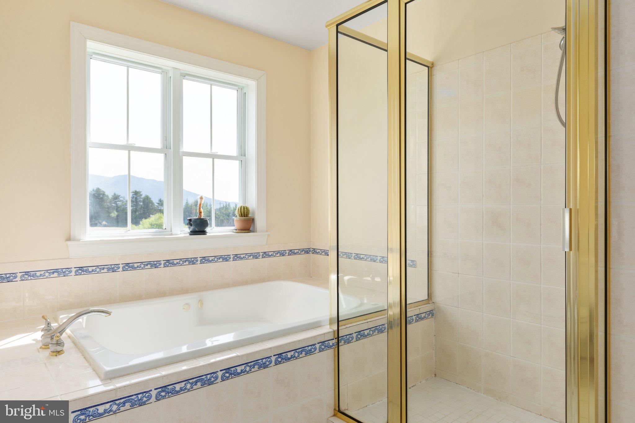 2930 Long Meadow Road Middletown, VA 22645 - Photo 35 of 60 Primary bathroom