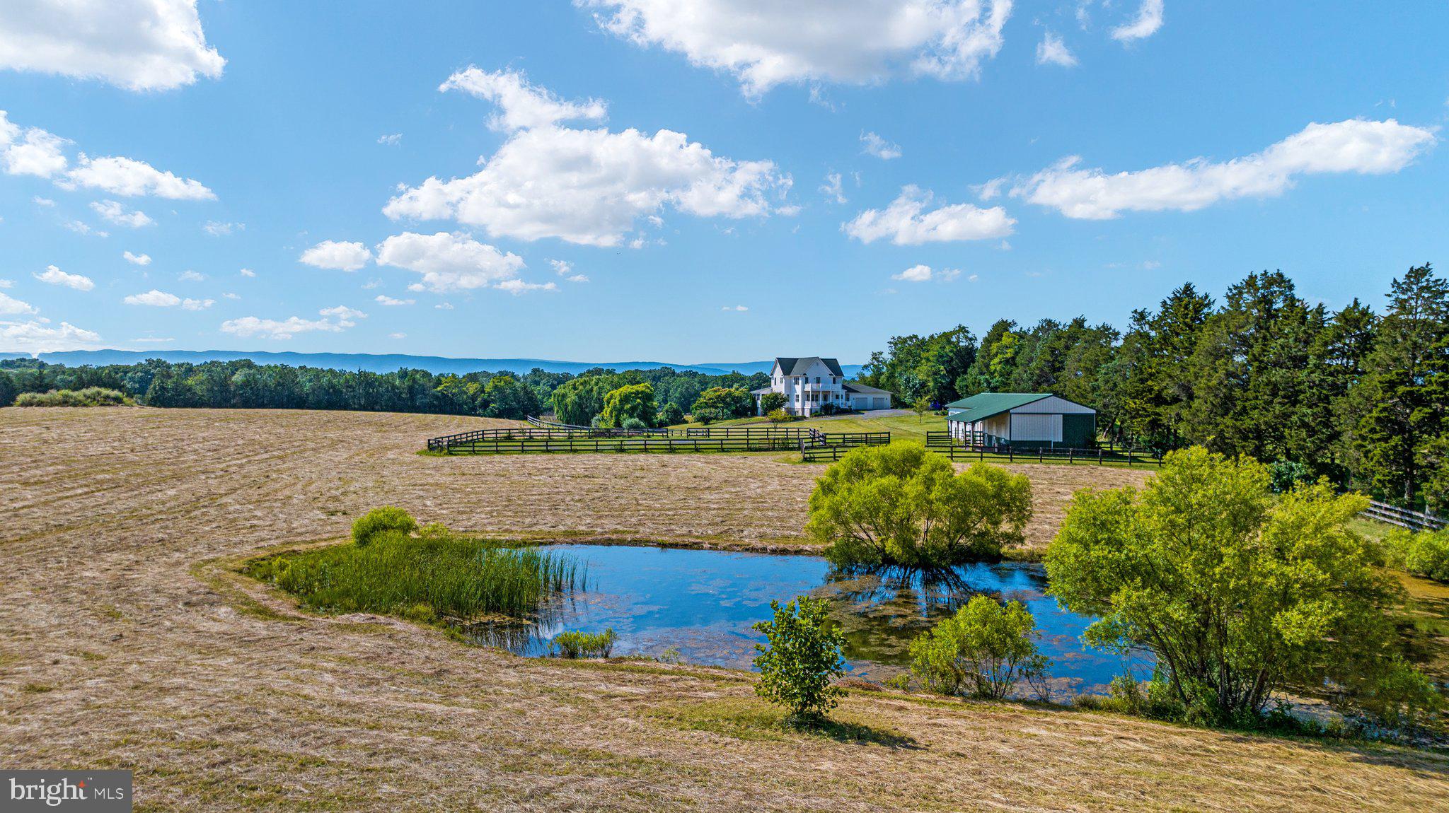 2930 Long Meadow Road Middletown, VA 22645 - Photo 9 of 60 Stocked pond
