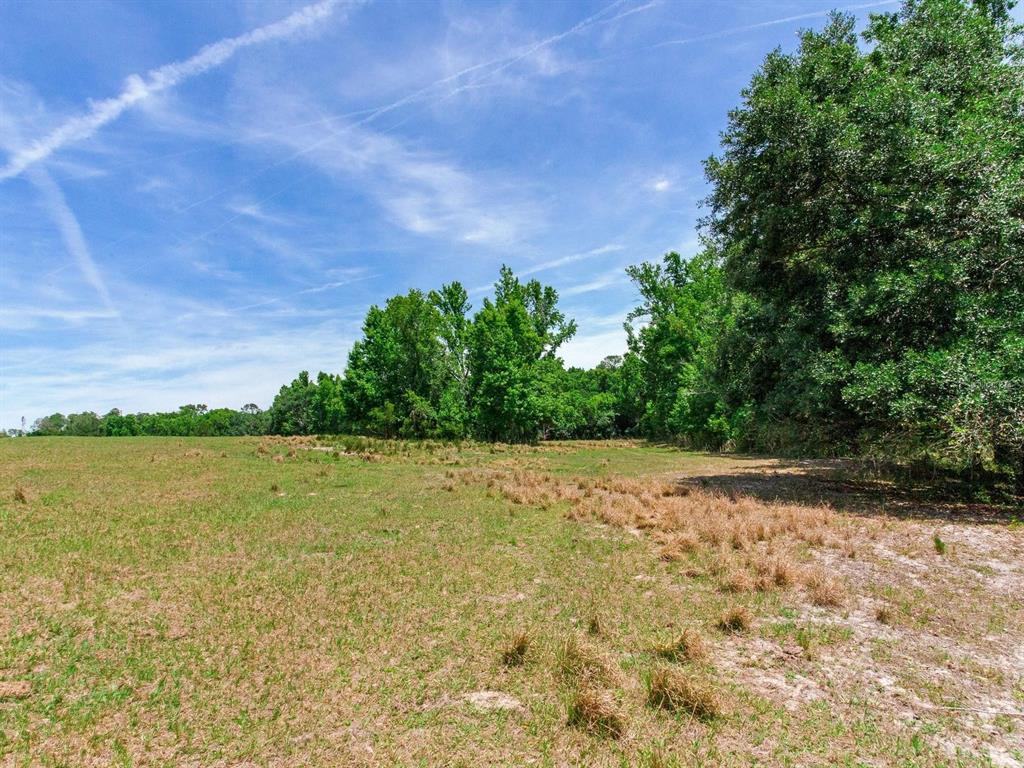 Spring Lake Highway Brooksville, FL 34602 - Photo 38 of 49 a view of a lake view