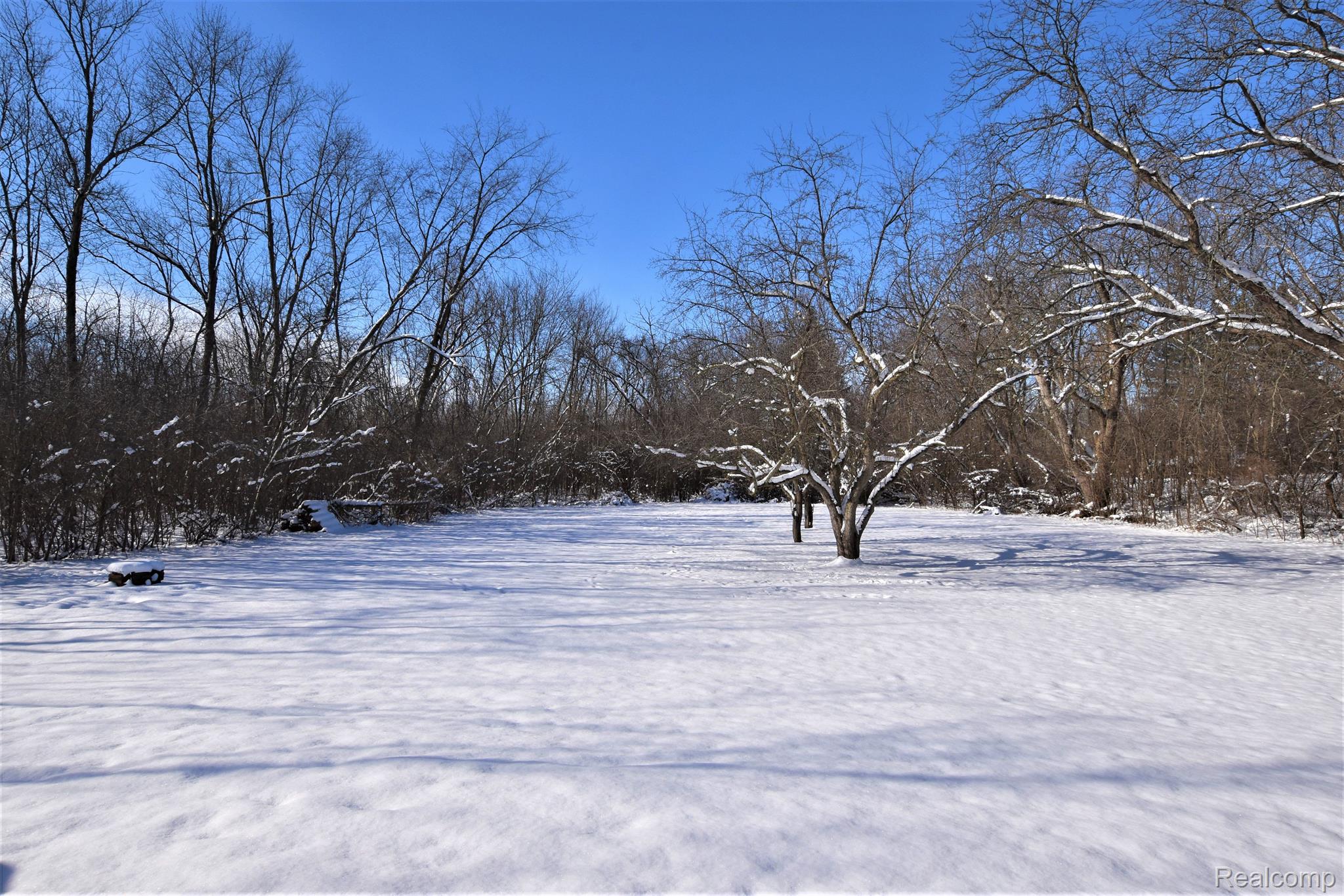 5310 Howe Road Grand Blanc, MI 48439 - Photo 15 of 15 View of Back Yard