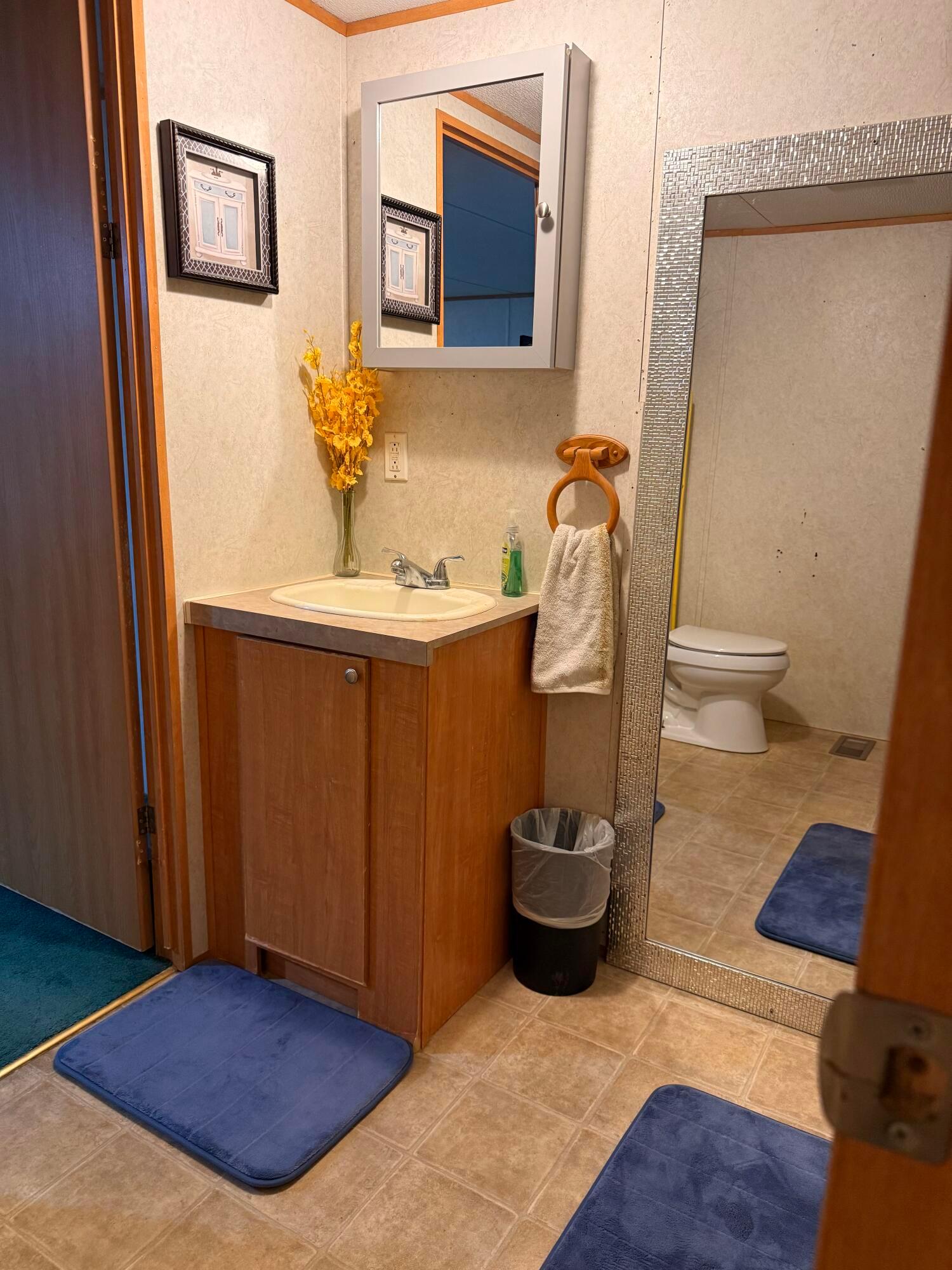 38210 New Lima Road, Unit C3R Pomeroy, OH 45769 - Photo 23 of 51 Vanity