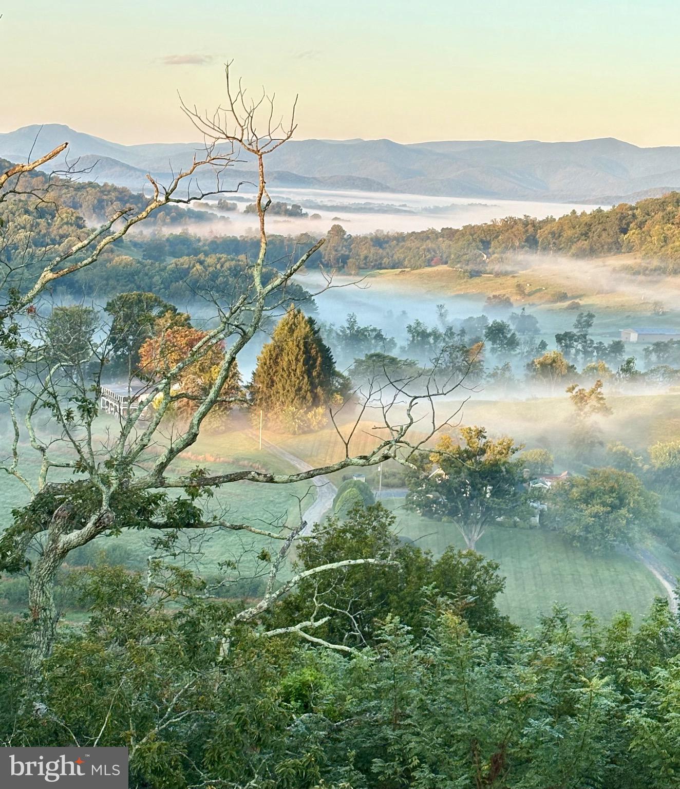 296 Ben Venue Road Flint Hill, VA 22627 - Photo 2 of 11 Treat yourself to amazing nature spectacles !
