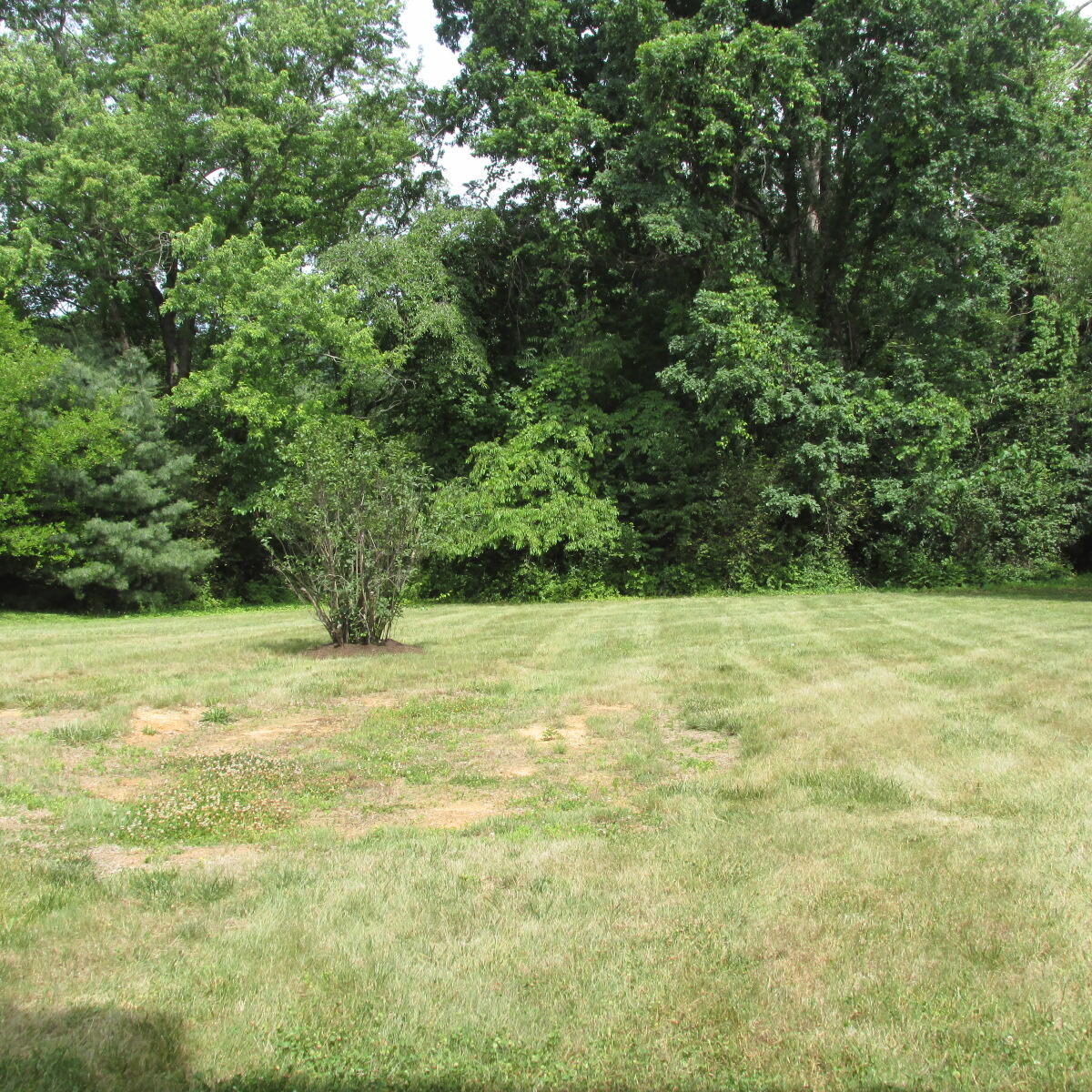 6620 Sherry Road Roanoke, VA 24019 - Photo 18 of 23 to wonderful back yard!