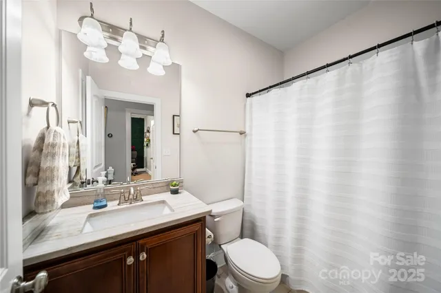a bathroom with a sink a toilet a mirror and shower curtain