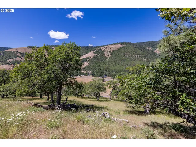 a view of outdoor space and yard