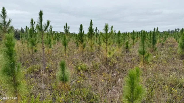 $1,717,000 | 10900 East Highway 388, Youngstown, FL 32466