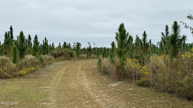 $1,717,000 | 10900 East Highway 388, Youngstown, FL 32466