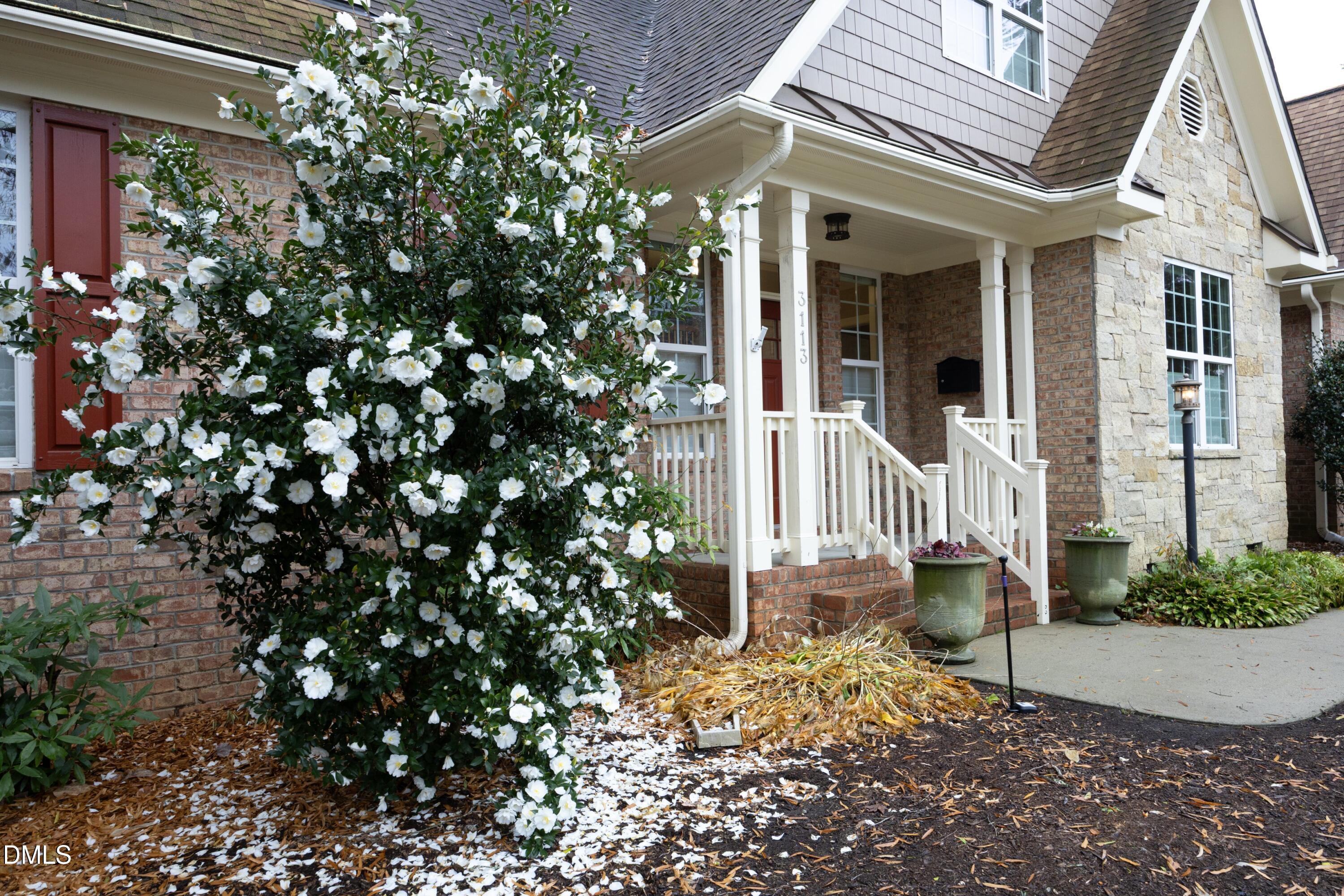 3113 Clark Avenue Raleigh, NC 27607 - Photo 4 of 55 04Floweringbush