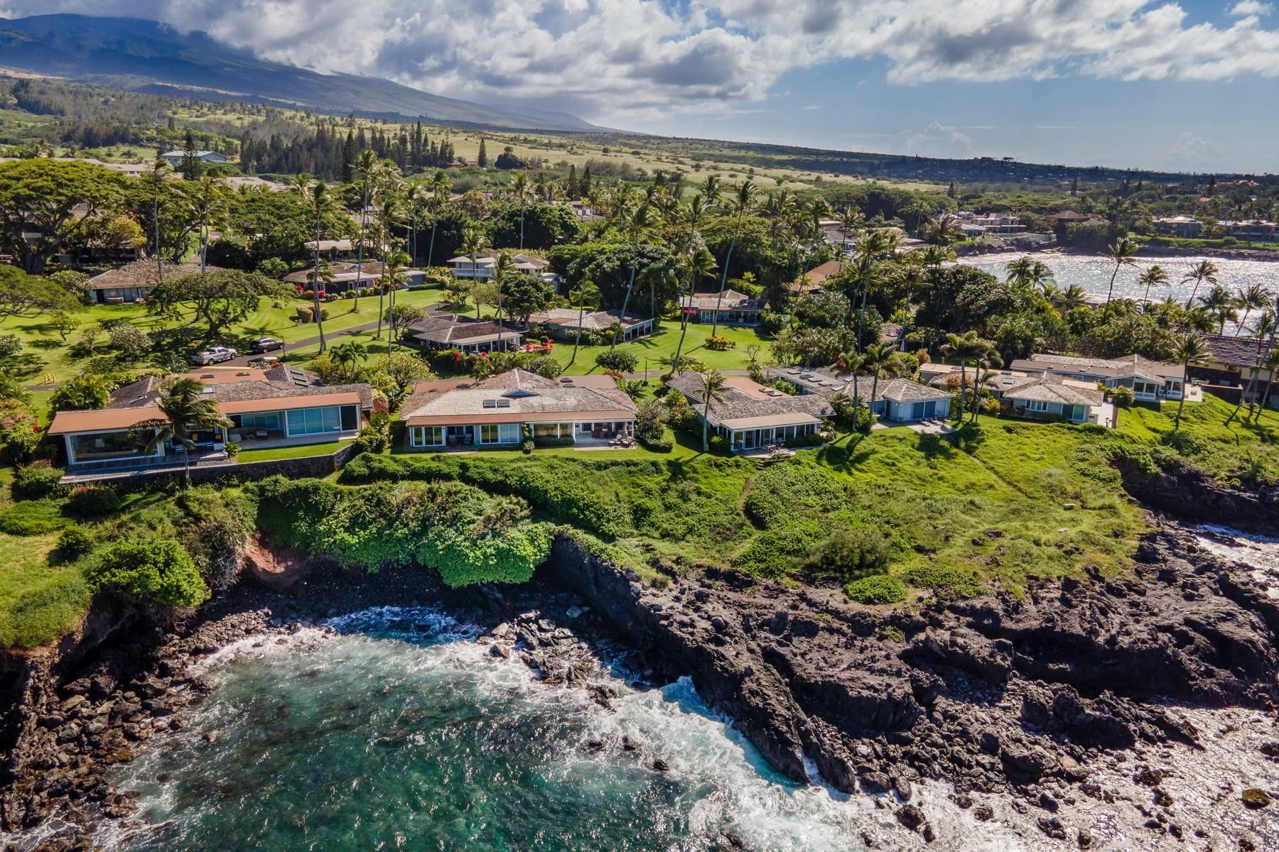 a view of a garden with a lot of trees