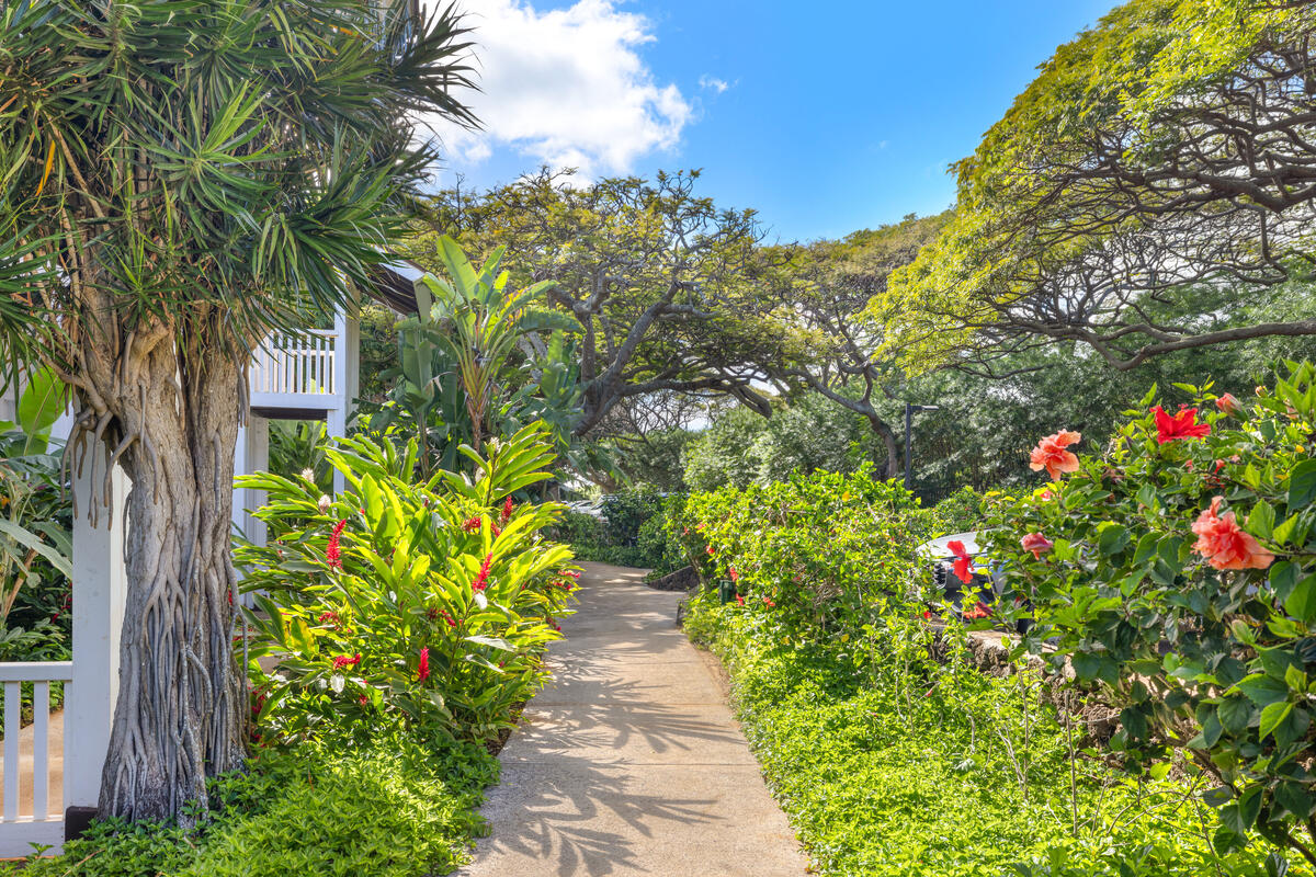 2253 Poipu Road, Unit 241 Koloa, HI 96756 - Photo 26 of 30 a close up of a flower in a garden