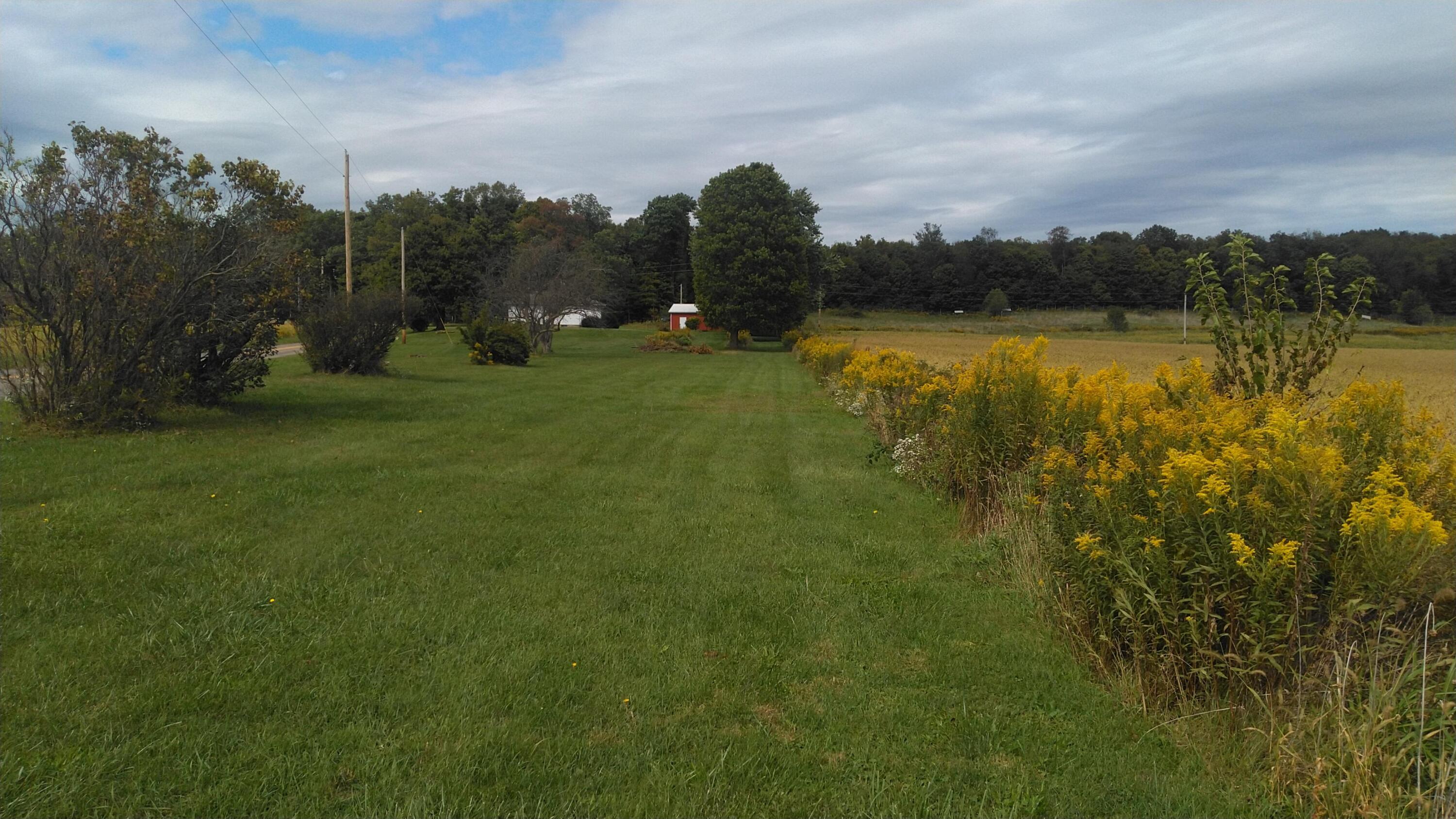 25049 Hopewell Road Gambier, OH 43022 - Photo 9 of 35 KIMG4945