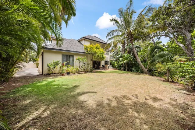 a view of a yard with plants and large trees