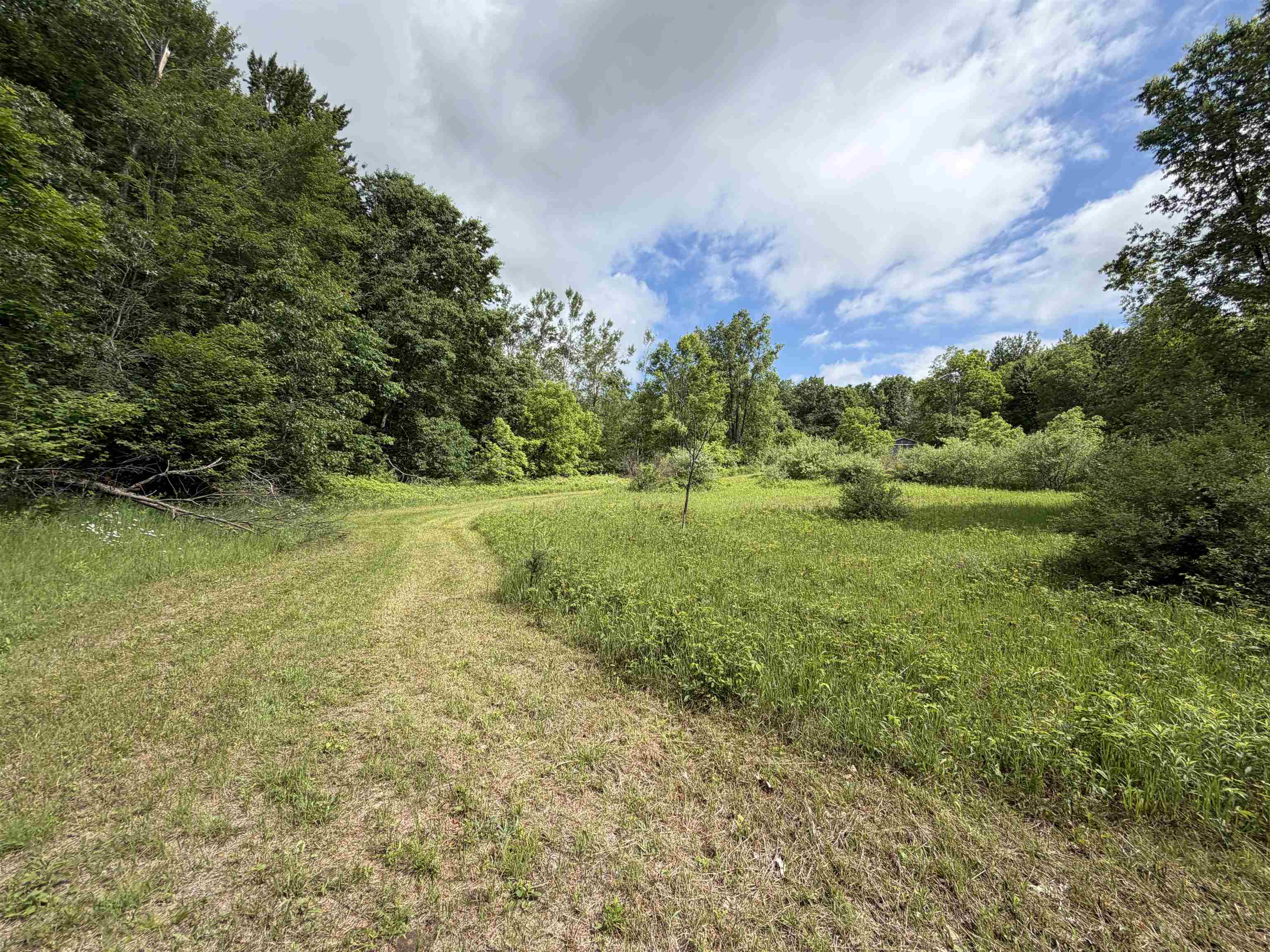 5131 Washington Road Lake, MI 48632 - Photo 31 of 43