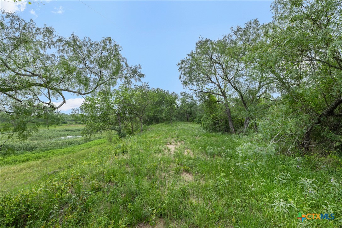 6497 Taylorsville Road Dale, TX 78616 - Photo 16 of 36 a view of a lush green space
