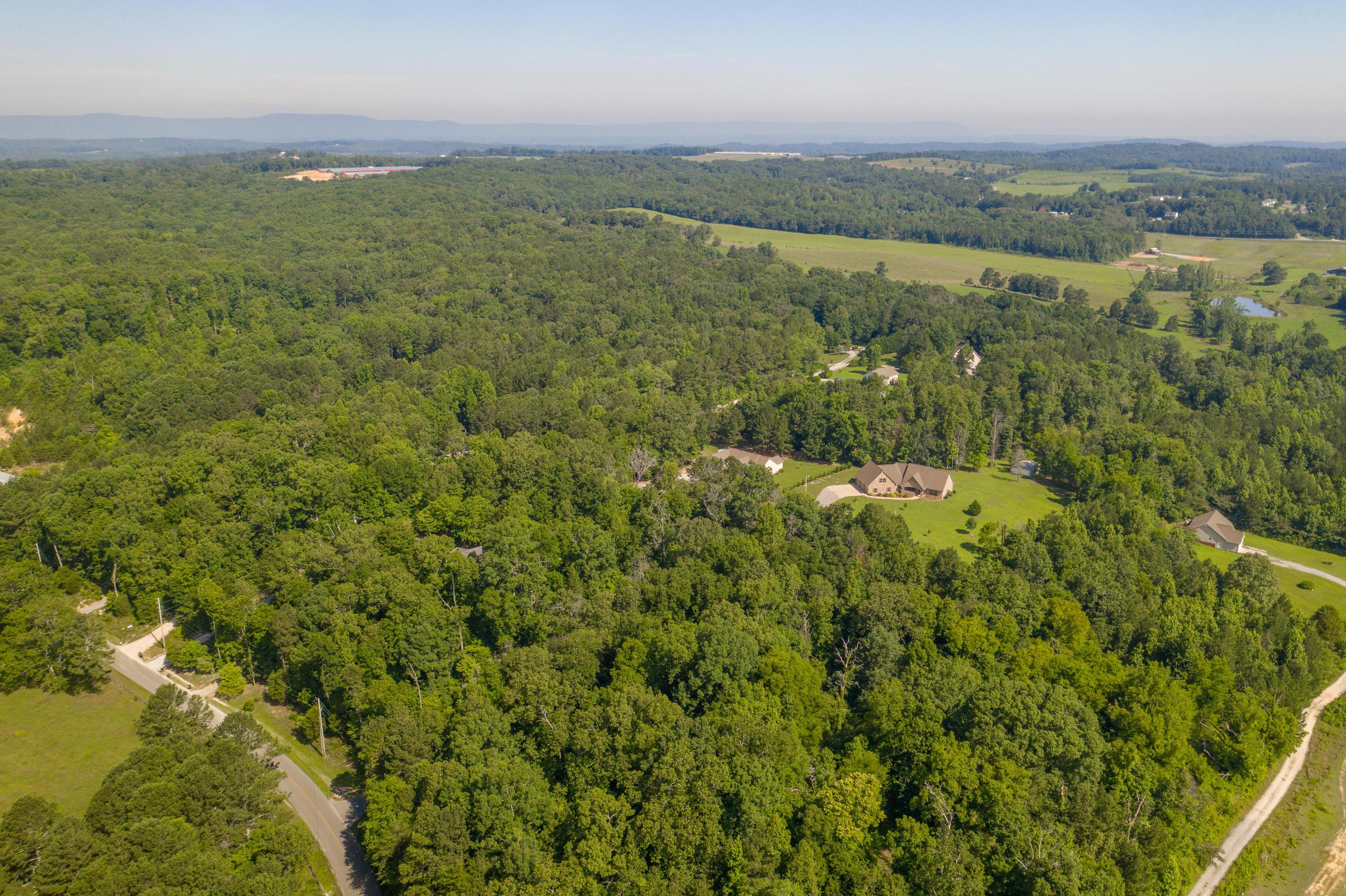 1841 Colbert Hollow Road Rock Spring, GA 30739 - Photo 54 of 54 DJI_0920