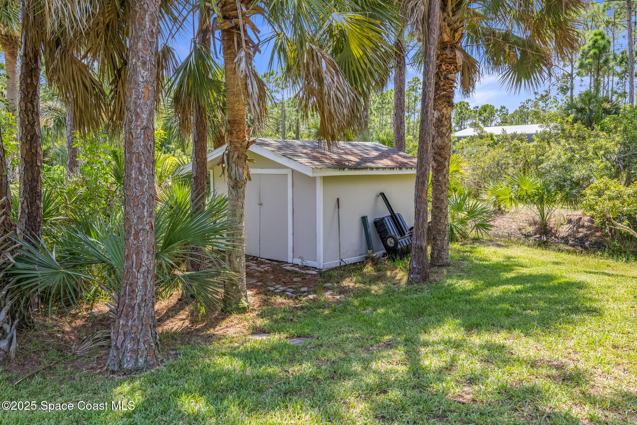 7210 Wando Avenue Grant, FL 32949 - Photo 39 of 41 a view of a backyard with a tree