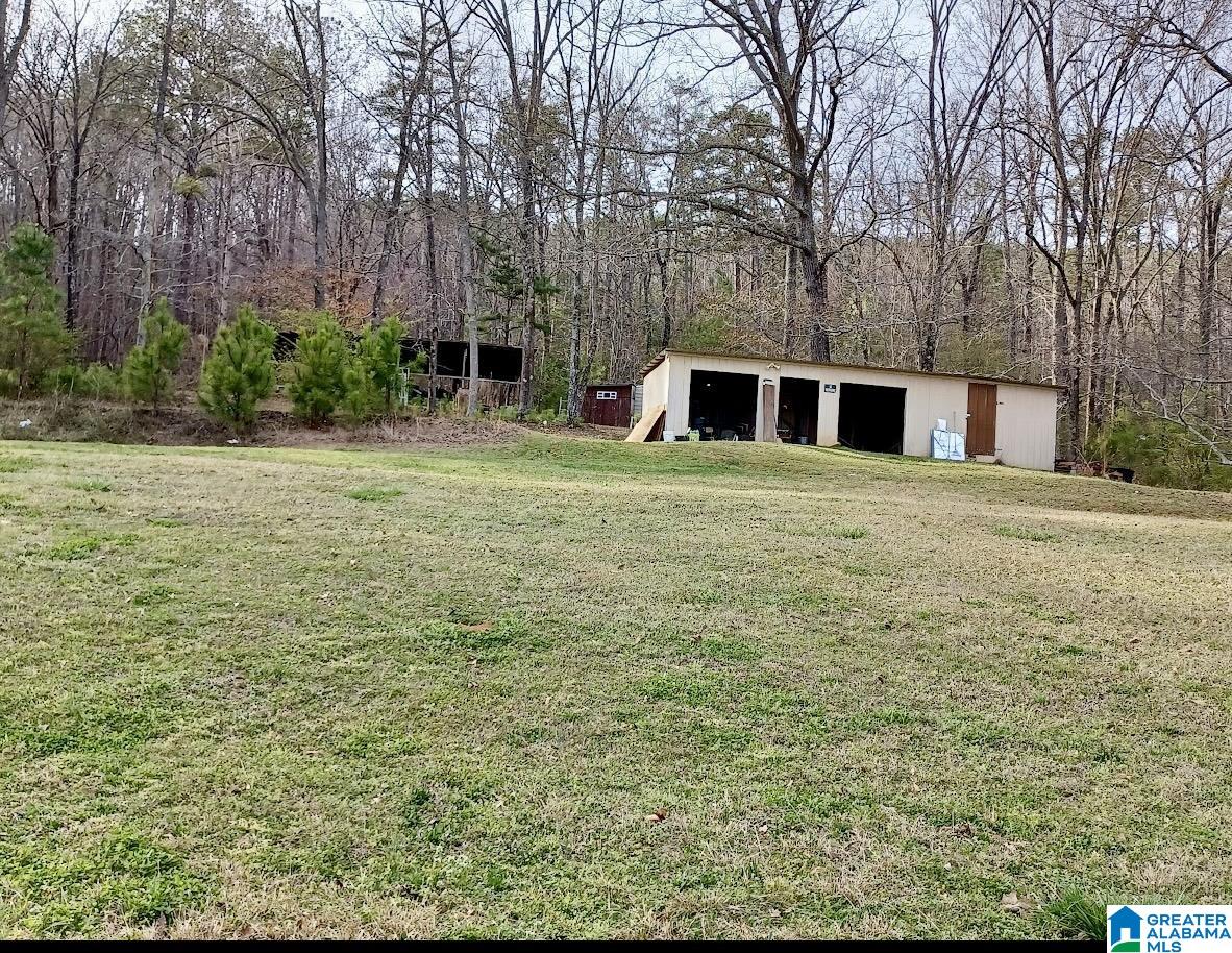 16829 Remlap Drive Remlap, AL 35133 - Photo 2 of 8