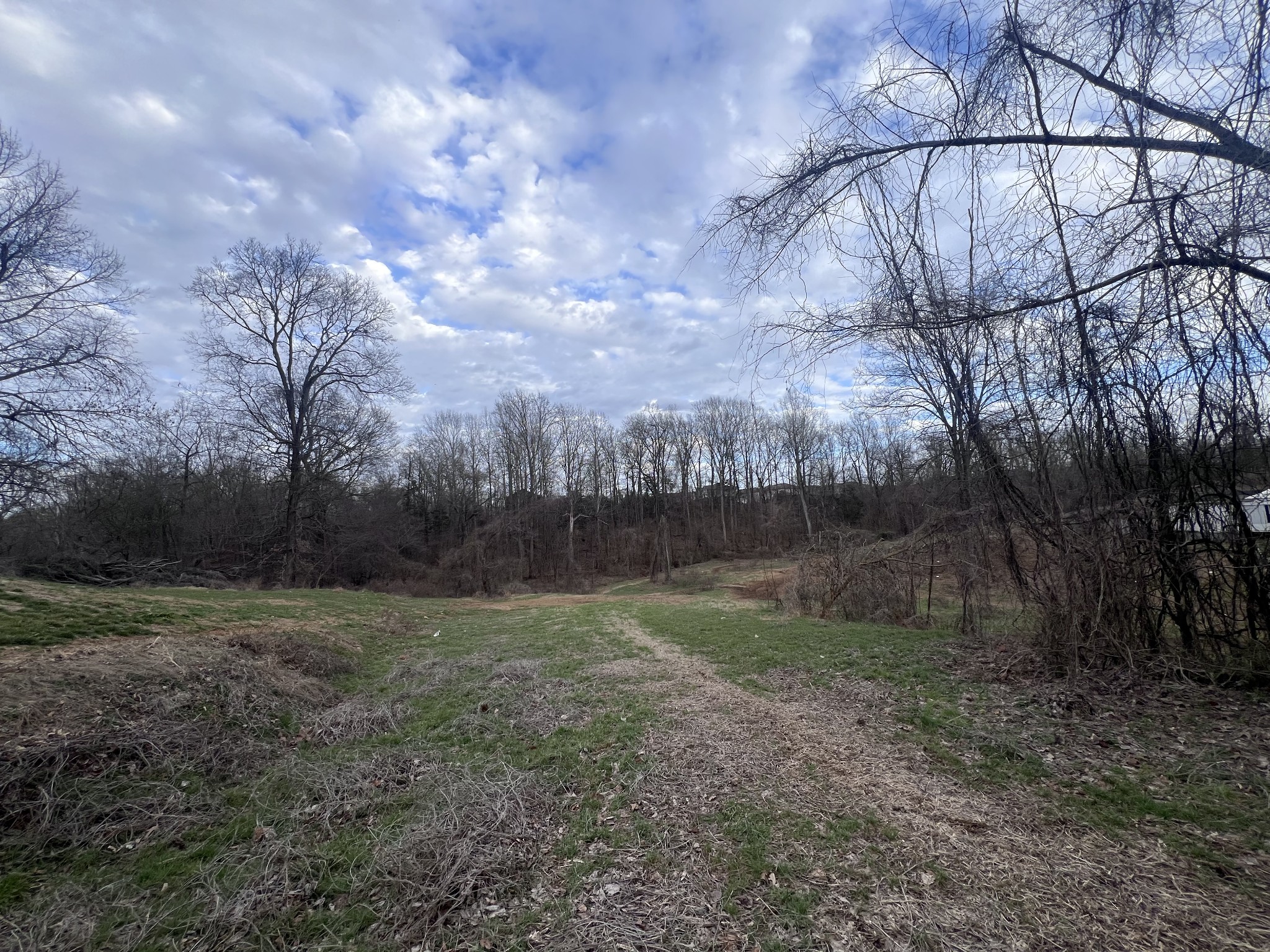 0 Evans Road Clarksville, TN 37042 - Photo 5 of 6 a view of outdoor space and yard