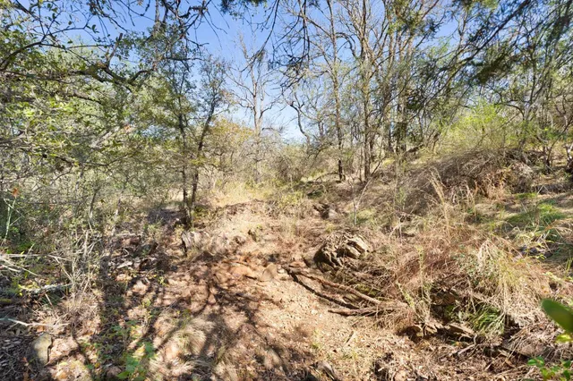 a view of a yard with a tree