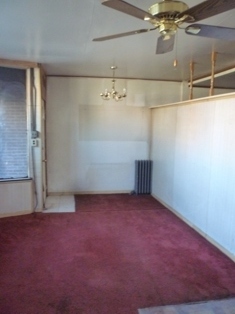 4233 West Cermak Road Chicago, IL 60623 - Photo 4 of 11