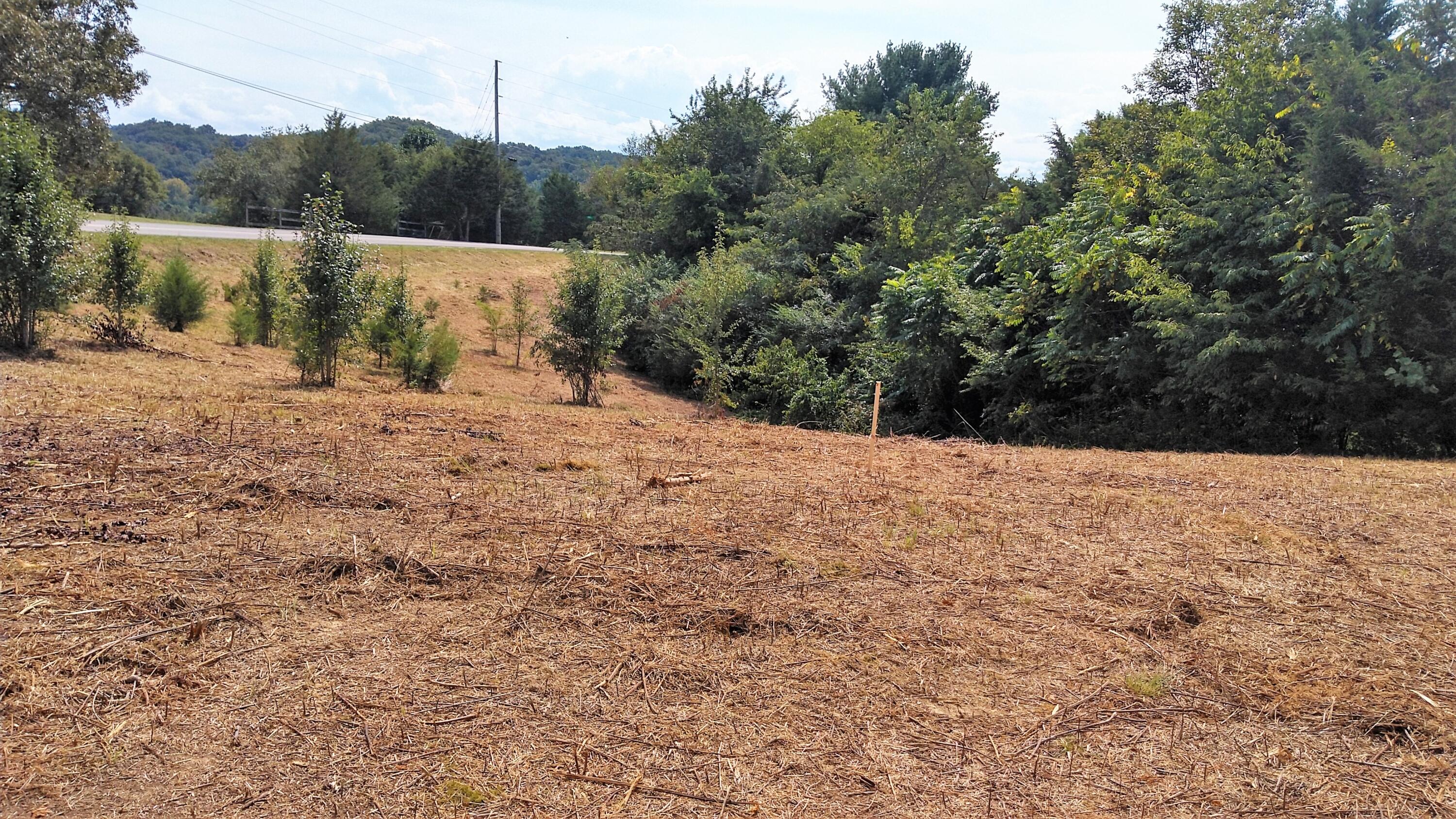 1 Pates Hill Road, Unit 1 Mosheim, TN 37818 - Photo 7 of 8 Pics are of both 1 & 2 Pates Hill Rd