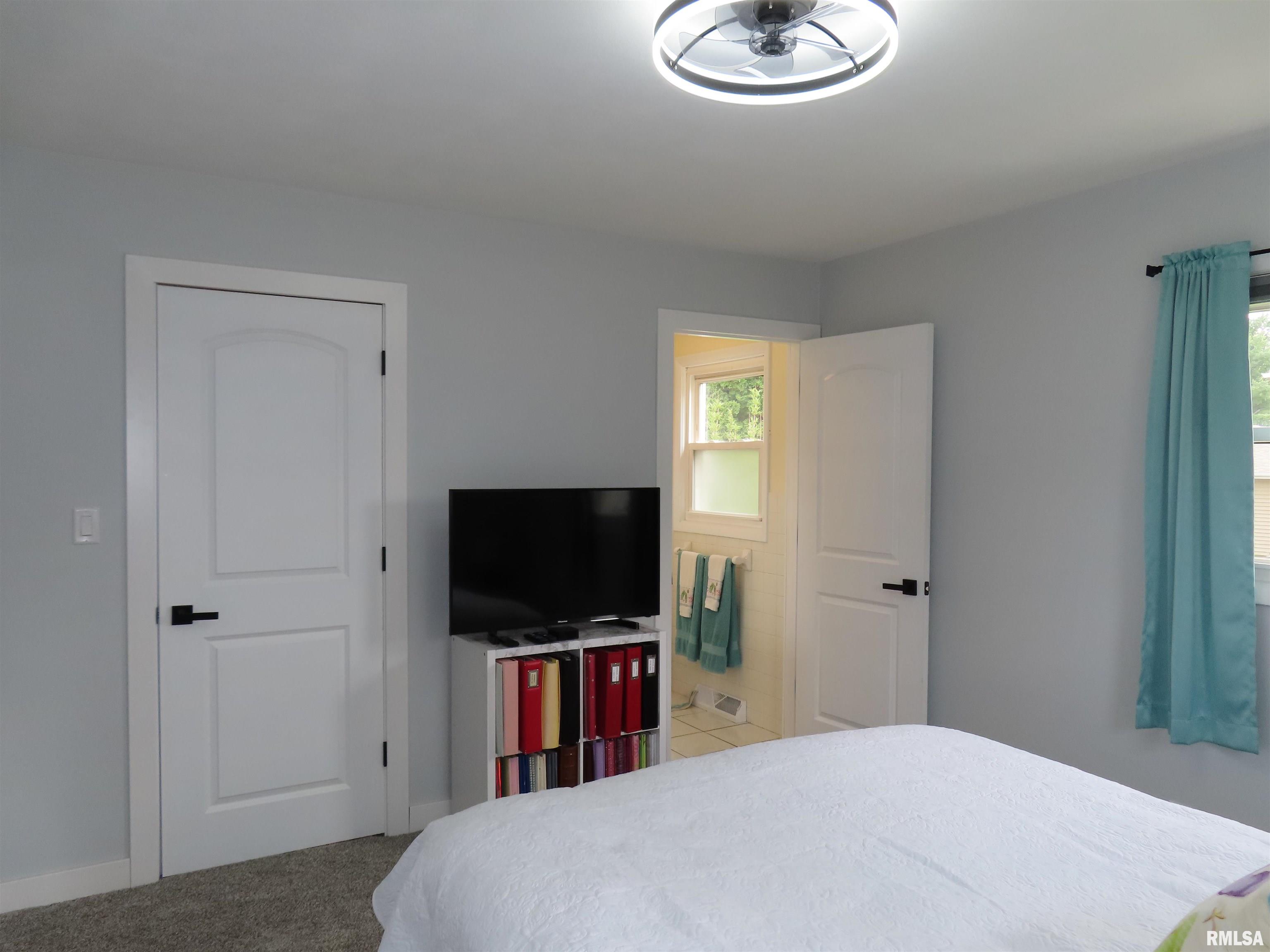 205 South Park Street Alpha, IL 61413 - Photo 40 of 59
