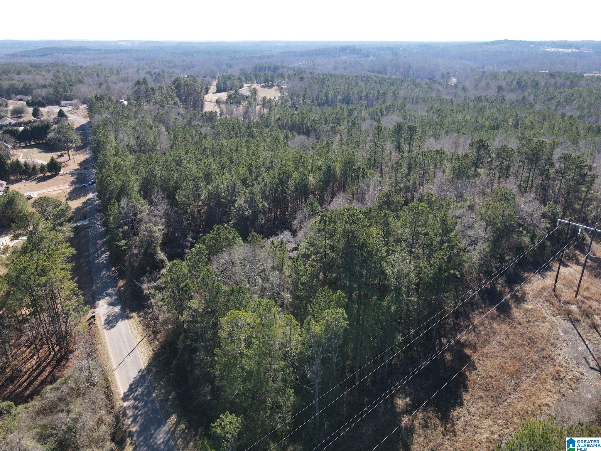 0 County Road 18, Unit 1 Roanoke, AL 36274 - Photo 6 of 6